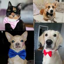 3 buc papion reglabil pentru animale de companie - opțiuni multiple de culoare, material satinat moale, fundă formală drăguță pentru gâtul câinilor și pisicilor, ideală pentru nunți, petreceri, ședințe foto și purtare zilnică - Multicolor - Vizualizare 3