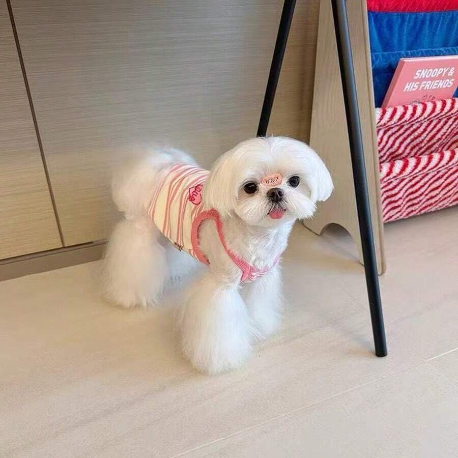 Áo khoác kẻ sọc, dây đeo thoáng khí, nhẹ, thích hợp cho chó nhỏ, chó Poodle, Teddy, Maltese, thích hợp mặc mùa hè. - Nhiều màu - Xem 1