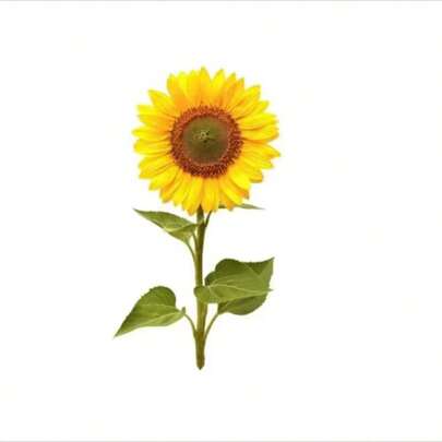 1pc 2D Acrylic Sunflower Garden Stake, Suitable For Outdoor Garden And Yard Decor