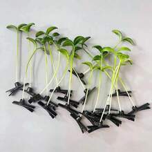 Bộ 20 kẹp tóc hình cỏ ngộ nghĩnh, kẹp tóc hình giá đỗ 3D dễ thương, kẹp cá sấu. - màu xanh lá - Xem 2
