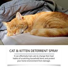 YEGBONG Spray de soin doux pour chat, formule naturelle apaisante, réduit les griffures et les morsures, spray de protection pour la maison - Voir 6