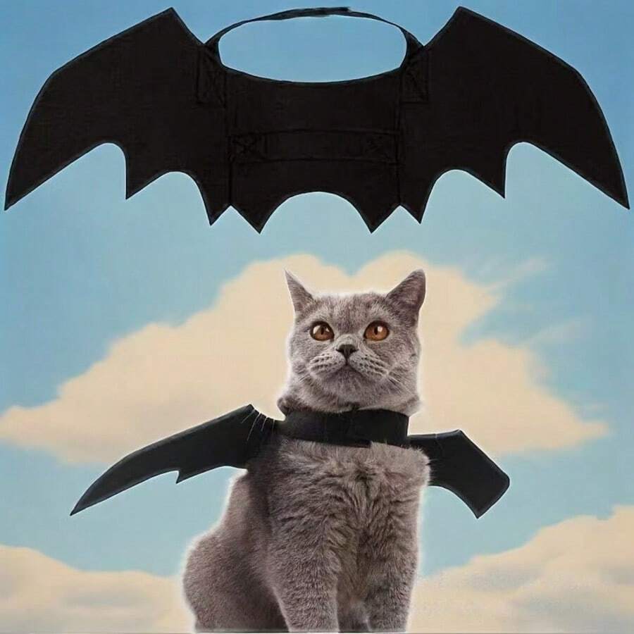 1pc Trending Halloween Felt Pet Bat Wings Costume, Funny Outfit For Cats Dogs Small Pets, Pet Apparel - Black - View 1