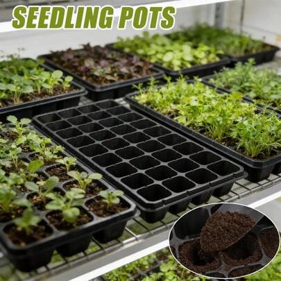 21/32/50孔可重复使用育苗盘，植物繁殖种植盆，适用于室内外温室园艺用品