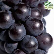 1-2 Year Old Kyoho Grape – Bare Root, Sweet And Juicy, Fast Growing, Low Maintenance, Perennial Ready For Planting - Tầng 1 - Xem 5