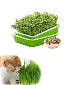 3pcs Green Sprouting Trays With Drainage Holes, Indoor/Outdoor Soil-Free Seed Germination Tray For Growing Beans, Grass And Seeds - A - View 6