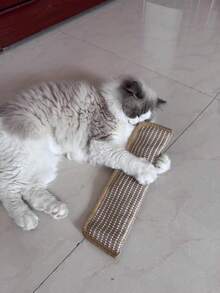 猫玩具枕头和猫抓板 - 防啃咬猫床罩，柔软舒适，防蚊虫，适合所有品种和体型的猫咪，兼具玩耍和家具装饰功能 - 互动式猫玩具，既可独自玩耍，又能增进感情 - 彩色 - 查看 1