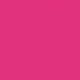Rosa Fucsia