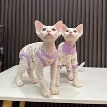 Chaleco floral ligero para gatos, adecuado para gatos Sphynx, ropa de mascota delgada para primavera/otoño, ropa de casa anti-pelos - Albaricoque - Ver 6