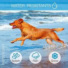 Collar Antiladridos Recargable para Perros Adiestramiento para Perros Collar Antiladridos Impermeable Entrenamiento Canino sin Choques Eléctricos con Sonido y Vibración  y Humano - Azul - Ver 7