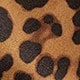 Leopardo