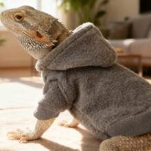 Lizard Clothing, Hoodies, T-Shirts, Pet Transformation Outfits For Outings, Lizard Walking Apparel, Exotic Pet Clothing - Fruit Green - View 2