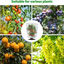 1pc White Garden Plant Fruit Protection Net Bag, Fruit Tree Anti-Insect Net Cover, Plastic Mesh Barrier Net With Pull Rope, Suitable For Vegetables, Fruit Trees And Shrubs, To Prevent Squirrels, Birds And Insects - A - View 9