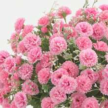 1/3 Stücke künstliche Seide Nelke Brautstrauß, künstliche Pflanze Raumdekoration, Herbstdekoration, künstliche Blume Garten Herbstdekoration Mittelstück Ornament Vase Heimdekoration Neujahrs Dekoration, Outdoor Garten Hochzeitsstrauß Wohnzimmer DIY Süßigkeitenbox Blumenkranz künstliche Pflanze Wohnkultur, Valentinstag, Geschenke - Pink - Übersicht 7