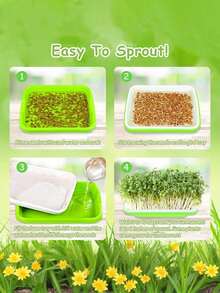 3pcs Green Sprouting Trays With Drainage Holes, Indoor/Outdoor Soil-Free Seed Germination Tray For Growing Beans, Grass And Seeds - A - View 4