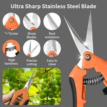 AIRAJ 7-Inch Precision Trimming Scissors - Stainless Steel, Multi-Purpose Gardening Shears Suitable For Orchards, Bonsai With Comfortable Grip - A - View 2