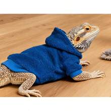 Lizard Clothing, Hoodies, T-Shirts, Pet Transformation Outfits For Outings, Lizard Walking Apparel, Exotic Pet Clothing - Fruit Green - View 8