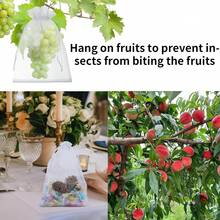 [Bolsa Reutilizable de Protección de Plantas] Bolsa Reutilizable de Protección de Frutas y Verduras | Cubierta de Malla de Polipropileno con Cordón, Adecuada para Uvas, Manzanas, Cítricos - Barrera Multiusos contra Plagas de Jardinería - A - Ver 5