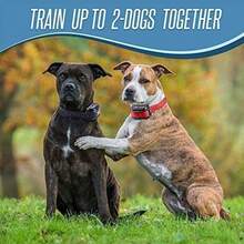 PT0Z1 Collar de choque para entrenamiento de perro totalmente impermeable rango de 365 m rojo - Rojo - Ver 6