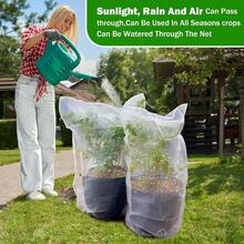 1pc White Garden Plant Fruit Protection Net Bag, Fruit Tree Anti-Insect Net Cover, Plastic Mesh Barrier Net With Pull Rope, Suitable For Vegetables, Fruit Trees And Shrubs, To Prevent Squirrels, Birds And Insects - A - View 5