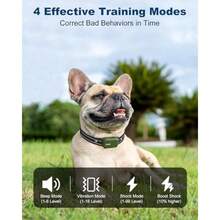 Collar De Choque para Perros - Collar De Entrenamiento para Perros De 3300Ft con Control Remoto Innovador Ipx7 Impermeable con 4 Modos De Entrenamiento Collar Electrónico Recargable - Verde - Ver 2