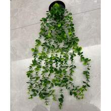1/2 件仿真植物，悬挂式盆栽，墙面悬挂架装饰，适用于室内、室外、客厅置物架装饰、家居装饰、房间装饰、花园装饰、墙面装饰 - 尤加利 - 查看 11