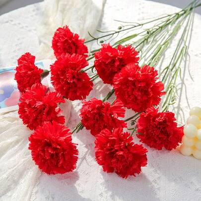 10支仿真康乃馨，丝绸花茎，适用于家居装饰、婚礼、新娘捧花、周年纪念、生日及各种插花，也适用于家庭、办公室、情人节装饰、母亲节DIY花束、婚礼装饰、派对装饰、酒店装饰、桌面装饰等。