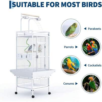 60 pulgadas grande jaula de pájaros, jaula de paráquitos de hierro forjado con playtop, percha de cuerda de pájaro, cuencos y ruedas de alimentación, jaula de los loros de interior para los loros, paráquitos, Cockatiels, Conures, Macaws, blanco, fácil de limpiar
