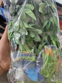 18 piezas Ramo de lirios de cala artificiales, flores falsas de tacto real, arreglo floral de plástico sin mantenimiento, adecuado para decoración de bodas, fiestas, hogar, jardín exterior, jarrón no incluido - Multicolor - Ver 12