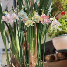 20pcs Lily Valley Style Mini Hanging Decorations, Reflective Sparkling Garden Stakes, Suitable For Garden Enthusiasts, Potted Plants, Terrace, Balcony, Colorful Fairy Garden Decor, Spring Garden Decoration, Mother's Day Gift For Mom - A - View 5