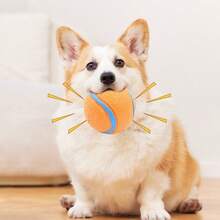 Dog Toy Ball Elastic Thickened Squeaky Boredom Relief Chew Resistant Tennis Ball Molar Training Interactive Pet Toy - Ginger - View 5