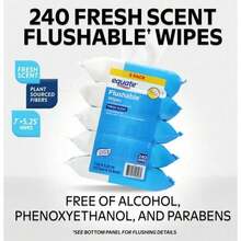 Large-Capacity   | Equate Easy-Dispensing Wipes Flushable Wet Wipes, Fresh Scent, 240 Wipes (3 Pack | 5Pack), Better Than Dry Tissue Alone - Gói 5 cái - Xem 5