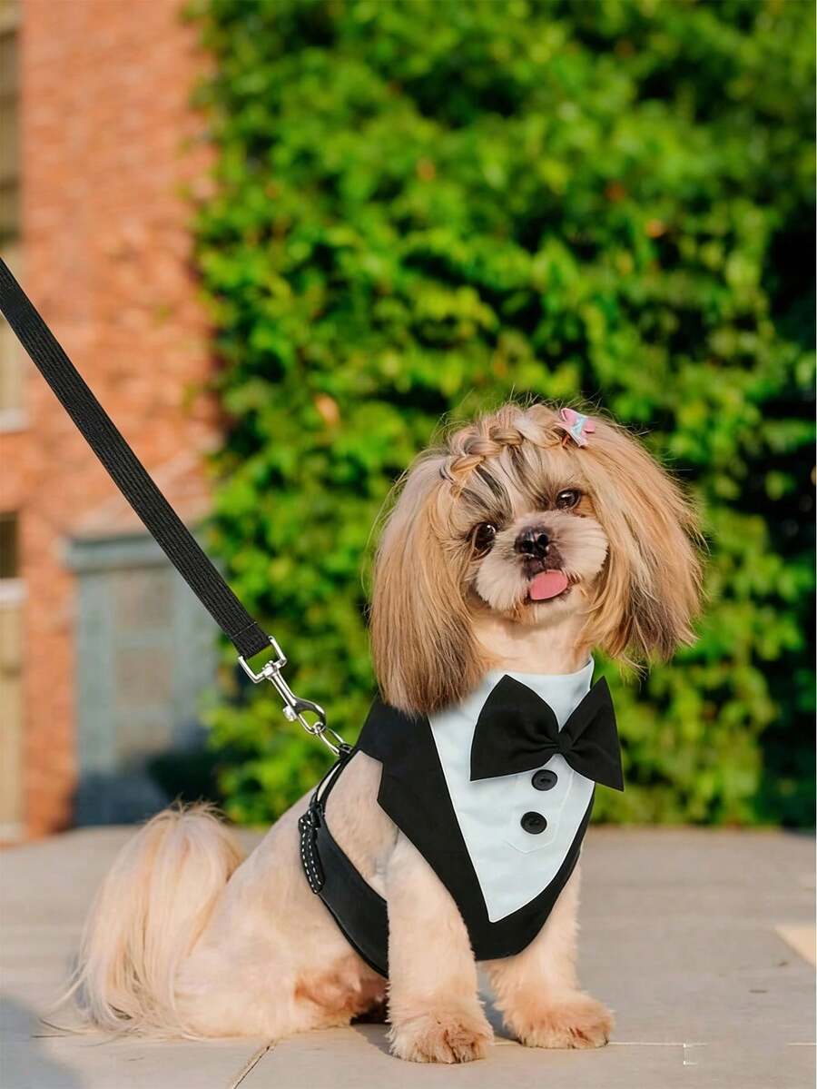 中小型犬绅士风正装领带套装，面料柔软透气，领带可拆卸可调节，穿脱方便，适合婚礼、生日、节日、宠物摄影、宴会、毕业典礼及其他正式场合。 - 黑與白 - 查看 1