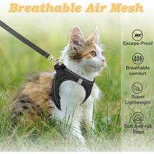 Bộ dây đeo và dây dắt cho mèo đi dạo, áo vest mềm mại có thể điều chỉnh, dễ điều khiển, thoáng khí, có sọc phản quang, màu đen. - màu đen - Xem 5