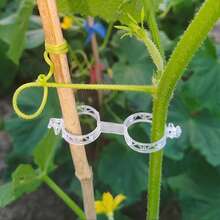 2/4 Rolls Stretchable Self-Adhesive Garden Ties, Waterproof Grafting Tape Suitable For Fruit Tree Grafting, Branch Repair And Floral Arrangement - A - View 7