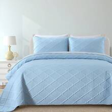 Ash Blue-100154