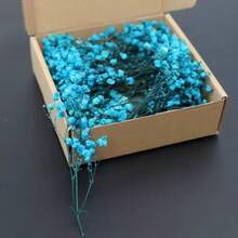 HOSY 50/100 pièces Fleurs de marguerite blanches artificielles pures - Délicates, faciles DIY, conviennent pour les mariages, la décoration de la maison et du bureau, les fêtes et les jardins - Couronne de style bohème pour table, sans plumes, sans électricité nécessaire, convient pour la décoration de Noël, d'Action de grâce et d'Halloween, cadeau de Noël et décoration de Noël pour la maison - Multicolore - Voir 14