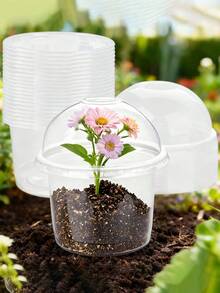30pcs Humidity Dome Seed Starter Trays, 4 Inch Clear Seed Trays With Lids, Seedling Germination Containers, Small Planting Pots, Outdoor Grow Pots - A - View 2