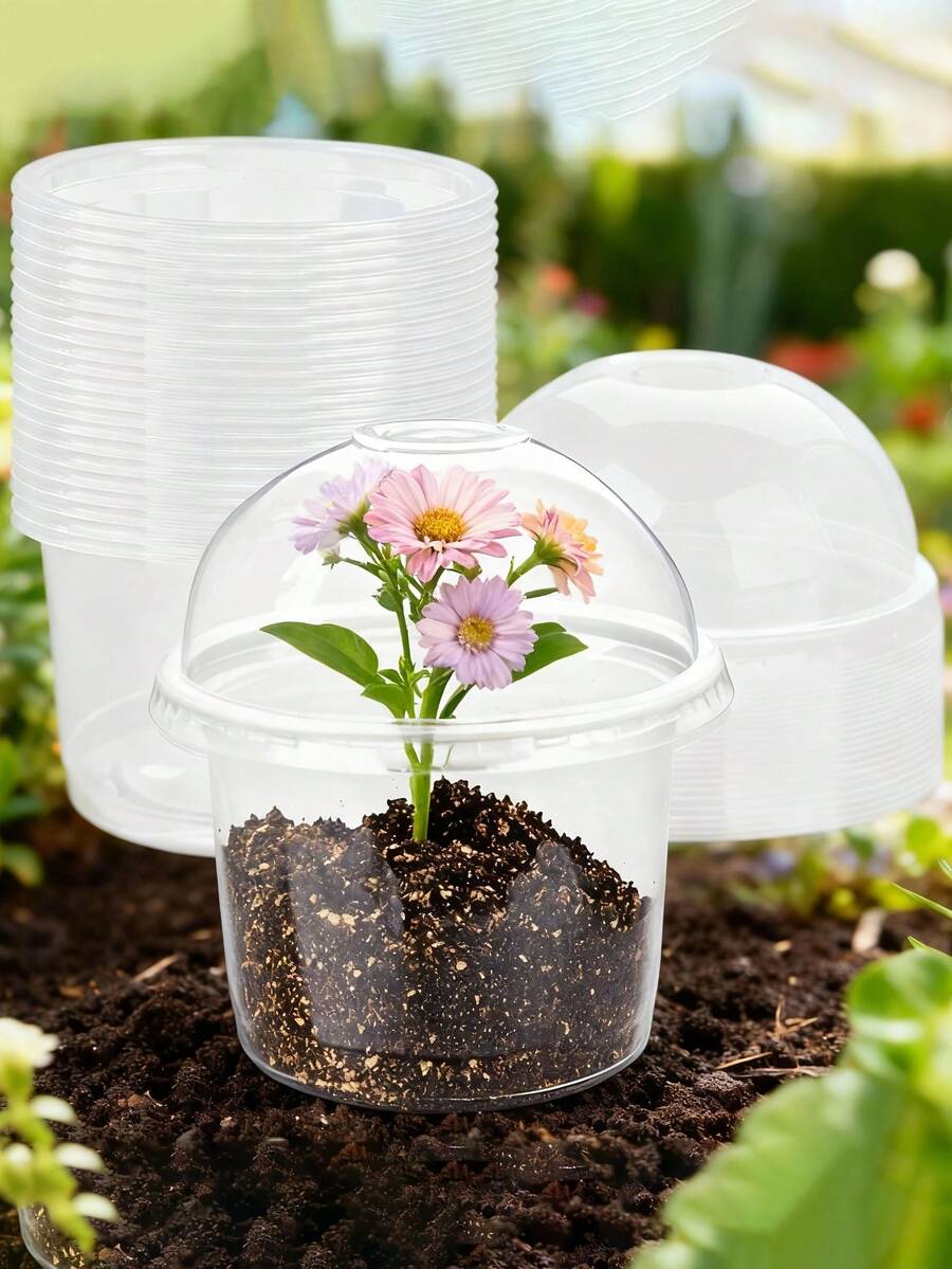 30pcs Humidity Dome Seed Starter Trays, 4 Inch Clear Seed Trays With Lids, Seedling Germination Containers, Small Planting Pots, Outdoor Grow Pots