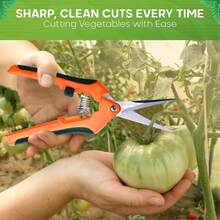 AIRAJ 7-Inch Precision Trimming Scissors - Stainless Steel, Multi-Purpose Gardening Shears Suitable For Orchards, Bonsai With Comfortable Grip - A - View 10