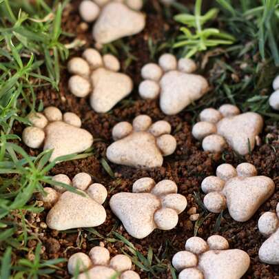 10pcs Resin Paw Print Decorative Stones, Suitable For Garden, Lawn, Pathway, Bonsai Decor, Couples' Holiday Souvenirs, Fairy Garden Accessories, Botanical Garden And Greenhouse, Artificial Rocks, Summer Potted Plant Decor. This Is A Gardening Decor Product, Not Suitable For Children Under 14 Years Old.