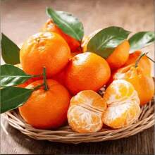 Orange Tree Saplings: Keep Them Simple And Get Juicy Flowers! - 1 cây giống cây ăn quả - Xem 2