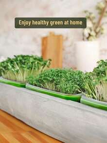 3pcs Green Sprouting Trays With Drainage Holes, Indoor/Outdoor Soil-Free Seed Germination Tray For Growing Beans, Grass And Seeds - A - View 3