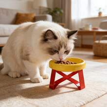 15° Tilted Elevated Pet Bowl, Anti-Vomiting, Ergonomic Neck Protection, Non-Slip Wide Base, Suitable For Wet & Dry Food, Cats & Small Dogs - Multi-capacity - View 5
