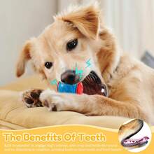 Bộ 3/2 quả bóng đồ chơi cho chó cưng giúp làm sạch răng, bóng đồ chơi kêu chíp chíp, bóng đồ chơi huấn luyện chó, bóng đồ chơi chống cắn, thích hợp cho máy phóng bóng đồ chơi cho chó, bóng nảy cao, bóng chơi tương tác, bóng gặm nướt cho chó con, đồ dùng cho thú cưng. - Nhiều màu - Xem 5