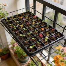 21/32/50孔可重复使用育苗盘，室内外温室园艺繁殖种植器，户外花盆，园艺，园艺配件，花园 - 多色 - 查看 10