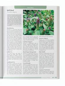 El libro "La guía olvidada de los remedios vegetales" - Remedios herbales para la familia, guía de medicina herbal natural - C-verde - Ver 3