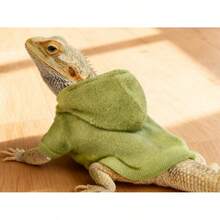 Lizard Clothing, Hoodies, T-Shirts, Pet Transformation Outfits For Outings, Lizard Walking Apparel, Exotic Pet Clothing - Fruit Green - View 9