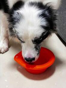 1pc Silicone Collapsible Round Pet Bowl, Portable Outdoor Pet Food & Water Bowl For Dogs And Cats - Orange - View 8