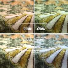 Reine Bohemian 2x6 Washable Hallway Runner Rug Kitchen Runner Rugs Non Skid Washable Floral Medallion Soft Bathroom Carpet Runners for Laundry Room Bedroom Foyer Entryway Yellow/Green/Multi - Amarillo/Verde/Multicolor - Ver 8