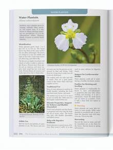 El libro "La guía olvidada de los remedios vegetales" - Remedios herbales para la familia, guía de medicina herbal natural - C-verde - Ver 4